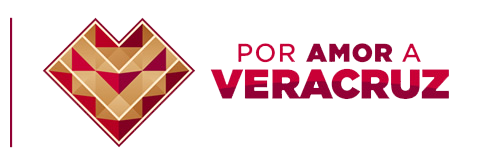 Por Amor a Veracruz